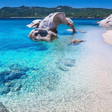 Center Regina Elena 49 Queen *